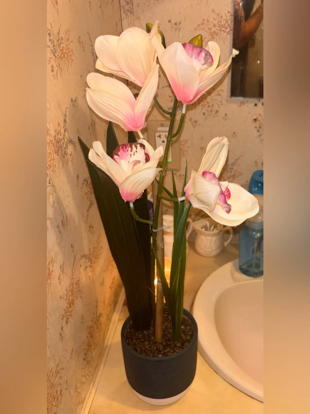 Artificial Orchid Stem in White and Pink - Home Accents